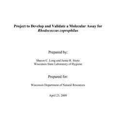Project to develop and validate a molecular assay for Rhodococcus coprophilus