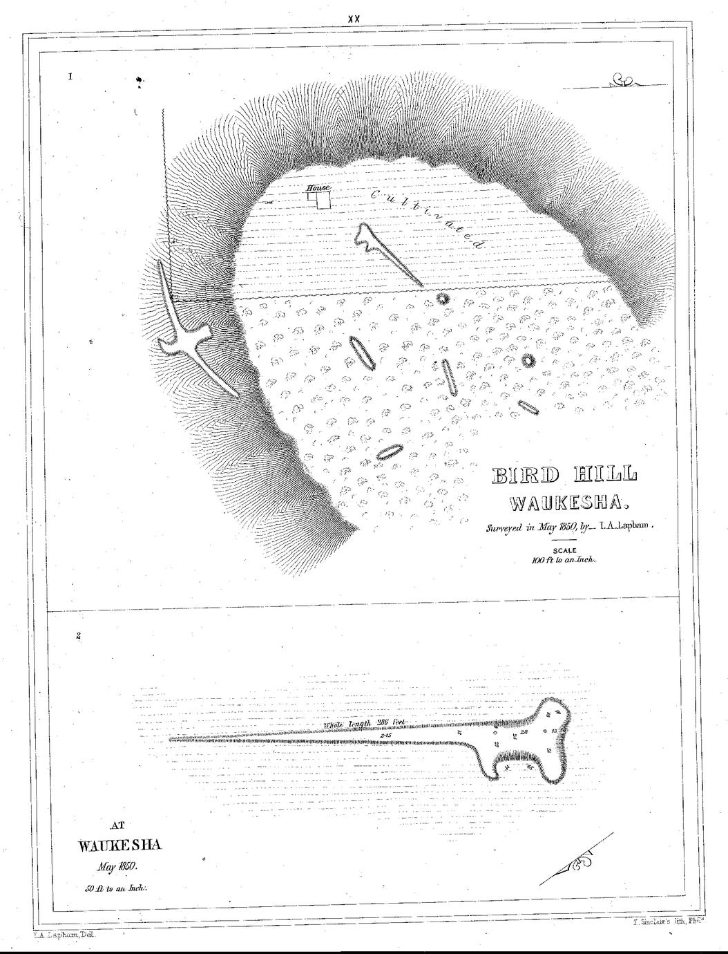 XX. Bird Hill, Waukesha. Surveyed in May 1850, by&mdash;I. A. Lapham. Scale 100 ft. to an Inch. / 2. At Waukesha May 1850. 50 ft. to an Inch.