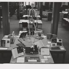 UW-Rock County library, "The Vertebrates" display