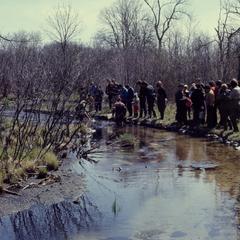 Class observing electro-shocking brook trout