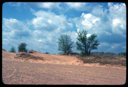 Dunes and sand blow, Blue River State Scientific Area