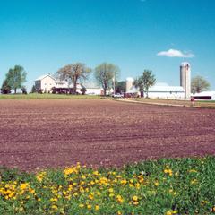 Buchhotz farm, photo 1