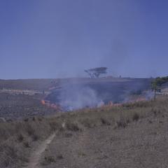 South Africa : scenery : burning the land