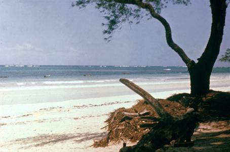 Diani Beach on the Indian Ocean