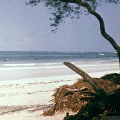 Diani Beach on the Indian Ocean