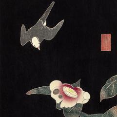 Swallow and Camellia, no. 4 or 6 from the series Six Genuine Pictures by Ito Jakuchu