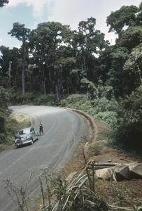 Virgin cloud forest with logging along Pan-Am highway