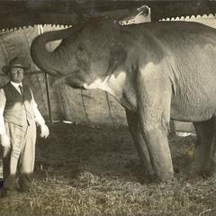George W. Hall, Jr. with circus elephant