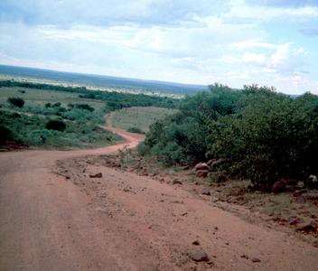 One of Main Roads Shortly Before Being Paved