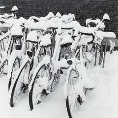 Bikes in snow