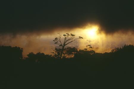 Sunset in Monteverde, from Hotel Belmar