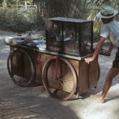 Siem Reap : village peddler