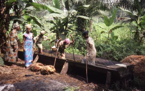Palm oil preparation