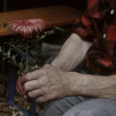 Duncan Williamson fitting the stem of a wooden flower to its leaves