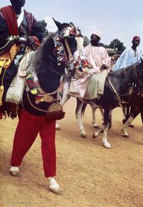 Horseman During National Festivities