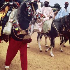 Horseman During National Festivities