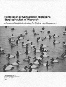 Restoration of canvasback migrational staging habitat in Wisconsin : a research plan with implications for shallow lake management