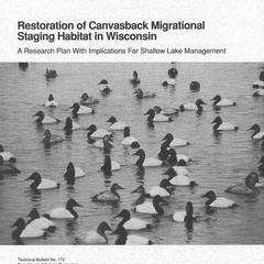 Restoration of canvasback migrational staging habitat in Wisconsin : a research plan with implications for shallow lake management