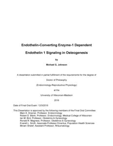 Endothelin-Converting Enzyme-1 Dependent Endothelin 1 Signaling in Osteogenesis