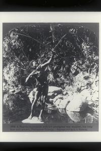 A Negrito huntsmen shooting his long bow, 1907