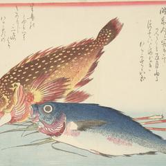 Kasago and Isaki with Ginger Roots, from a series of Fish Subjects