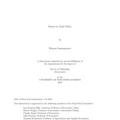 Essays on Trade Policy