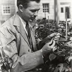 Gustav Rieman, plant pathology
