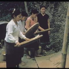 Girls winnowing rice