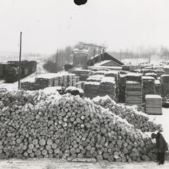 ‎Zeke Bratkowski and Bart Starr goose hunting - UWDC - UW-Madison Libraries