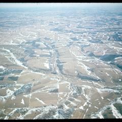 Aerial winter view of dendritic erosion in an agricultural landscape; probably in the driftless area of southwestern Wisconsin