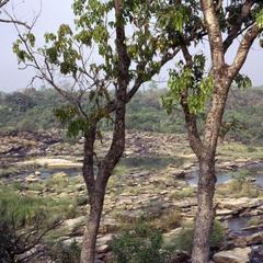 View at Gurara Falls