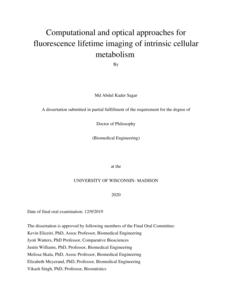Computational and optical approaches for fluorescence lifetime imaging of intrinsic cellular metabolism