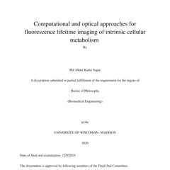 Computational and optical approaches for fluorescence lifetime imaging of intrinsic cellular metabolism