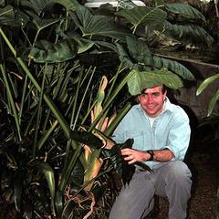 Alocasia  plant with Frank Landis
