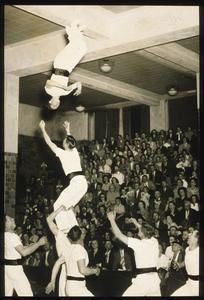 Vocational School acrobats