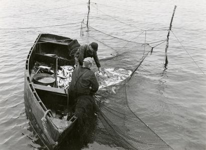 Lake Superior commercial fishing