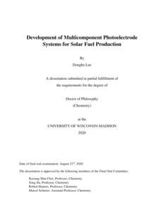 Development of Multicomponent Photoelectrode Systems for Solar Fuel Production