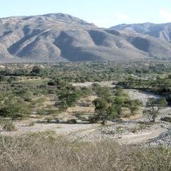 Dry arroyo, valley of Río Motagua at San Cristobal
