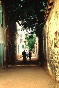 Scene on Narrow Street on Island of Gorée
