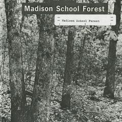 Three layers of green in the Madison School Forest