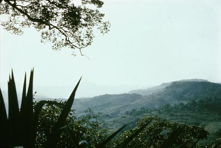 A View of the Futa Jallon Mountains