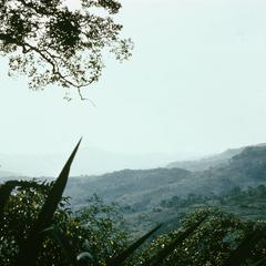 A View of the Futa Jallon Mountains