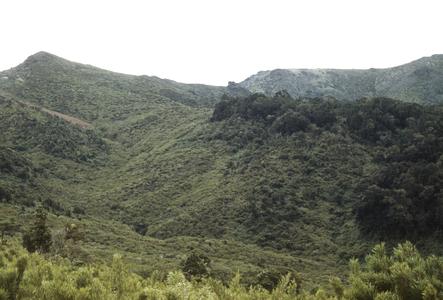 Highest point on Cerro de la Muerte