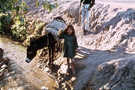 Girl Guiding Donkey Across a Stream