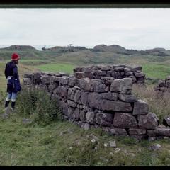 Ruins of a house near Glengorm Castle, Isle of Mull
