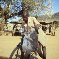 Boy with Bicycle Selling Guinea Fowl