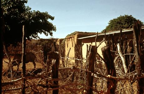Mud Brick Houses at Ndioun