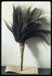 Fly whisk