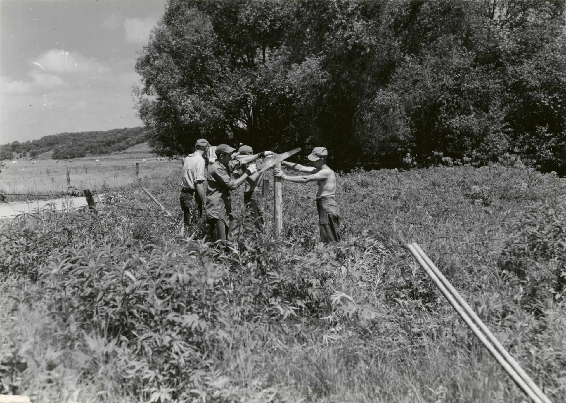 ‎Black Earth Creek UWDC UWMadison Libraries