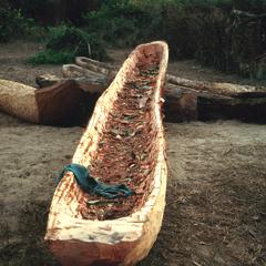 Dugout Canoe Being Made by Hollowing Out A Tree